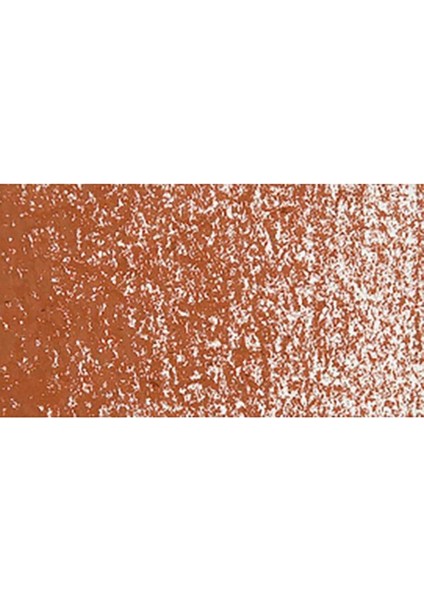 Neopastel Yumuşak Yağlı Pastel Russet 065 modelleri