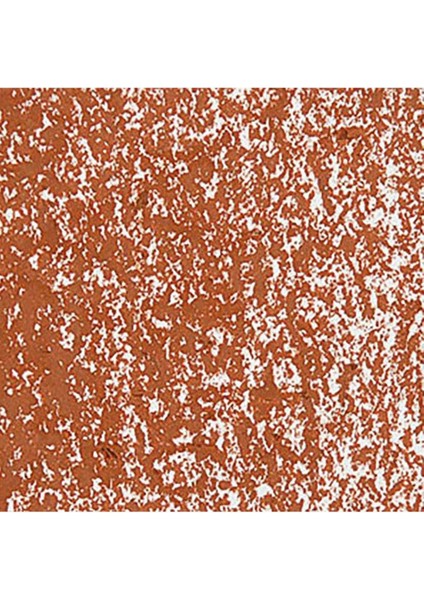 Neopastel Yumuşak Yağlı Pastel Russet 065 fırsatları