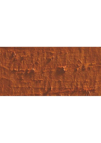 Neopastel Yumuşak Yağlı Pastel Russet 065 indirimleri