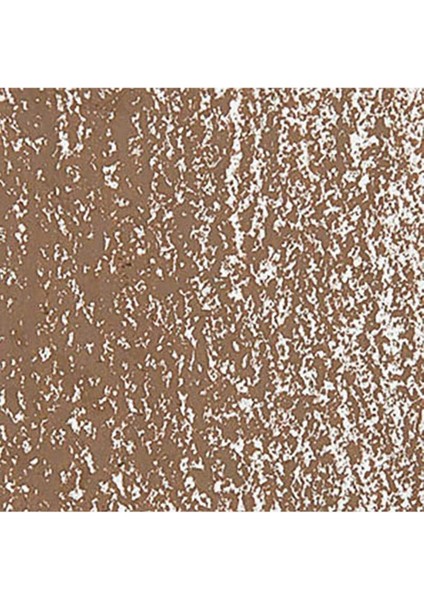 Neopastel Yumuşak Yağlı Pastel Brown 059 fırsatları