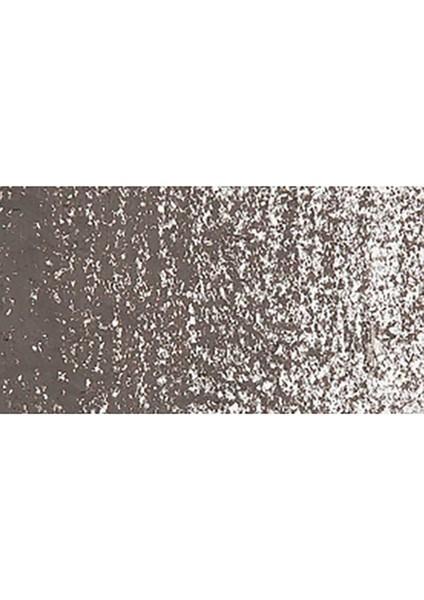 Neopastel Yumuşak Yağlı Pastel Raw Umber 049 modelleri