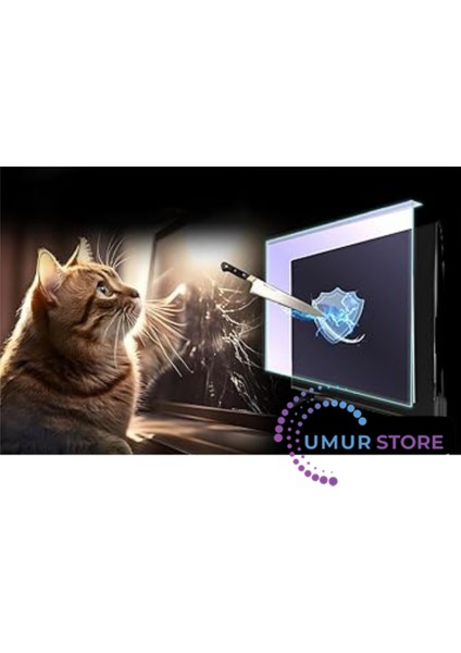 24PFK5211 24INÇ Tv Ekran Koruyucu