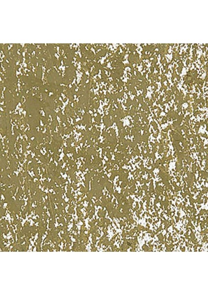 Neopastel Yumuşak Yağlı Pastel Olive Brown 039 fırsatları