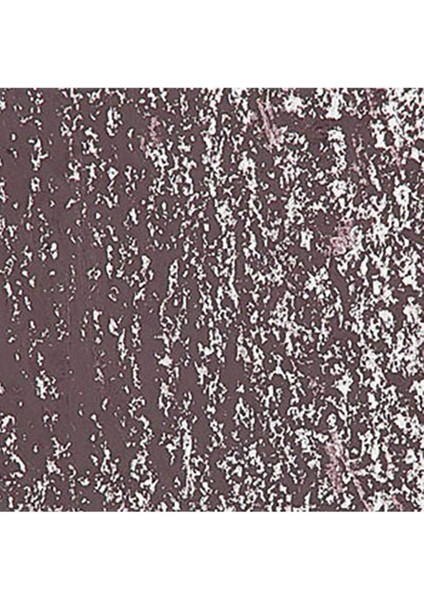 Neopastel Yumuşak Yağlı Pastel Bistre 047 fırsatları