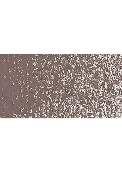 Neopastel Yumuşak Yağlı Pastel Vandycke Brown 045 modelleri