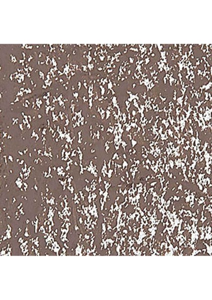 Neopastel Yumuşak Yağlı Pastel Vandycke Brown 045 fırsatları