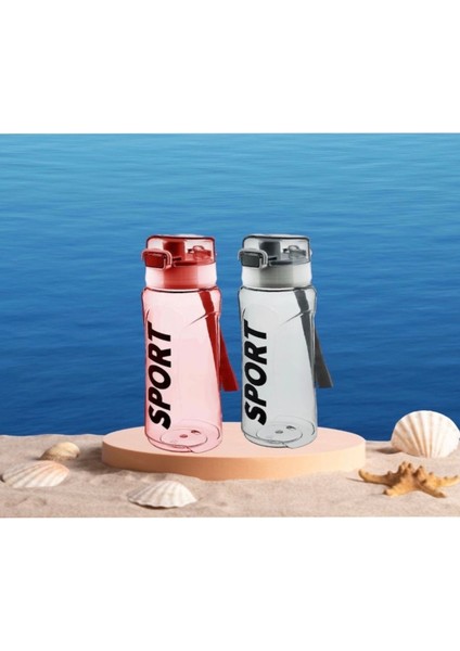 2'li Pembe-Gri Kapaklı, Taşımalı, Ipli, , Bpa Free, Okul ve Spor Matara Seti fiyatları