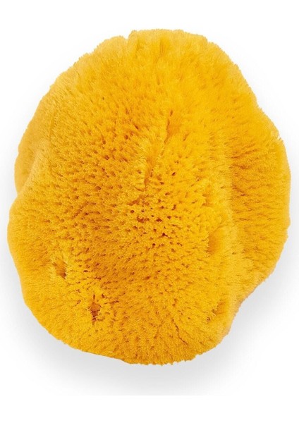 Doğal Deniz Süngeri, 20-25 Gr, Sarı, Temizlik ve Bakım Için Doğal Seçenek