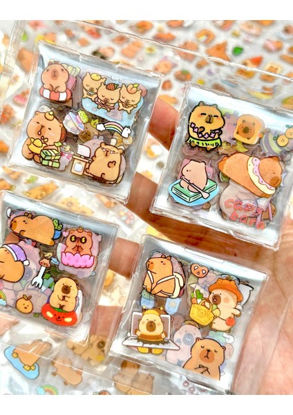 4 Bölmeli 100 Yaprak Capybara Desenli Şeffat Pet Sticker Kutu Su Geçirmez Sevimli Dostlar ile Müzik modelleri