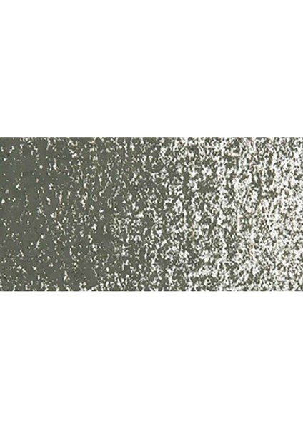 Neopastel Yumuşak Yağlı Pastel Olive Black 019 modelleri