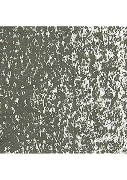 Neopastel Yumuşak Yağlı Pastel Olive Black 019 fırsatları