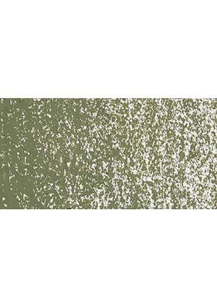 Neopastel Yumuşak Yağlı Pastel Olive Green 018 modelleri