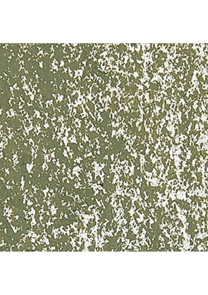 Neopastel Yumuşak Yağlı Pastel Olive Green 018 fırsatları
