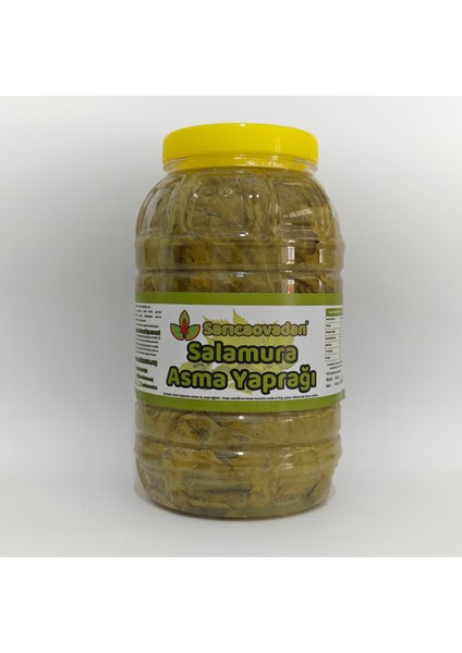 Salamura Asma Uç Yaprağı 3 kg