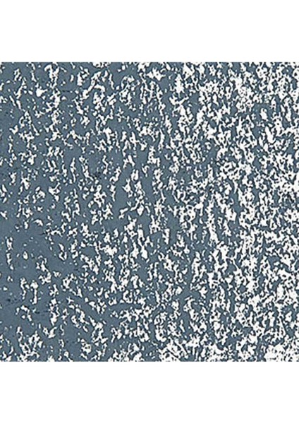 Neopastel Yumuşak Yağlı Pastel Greyish Black 008 fırsatları