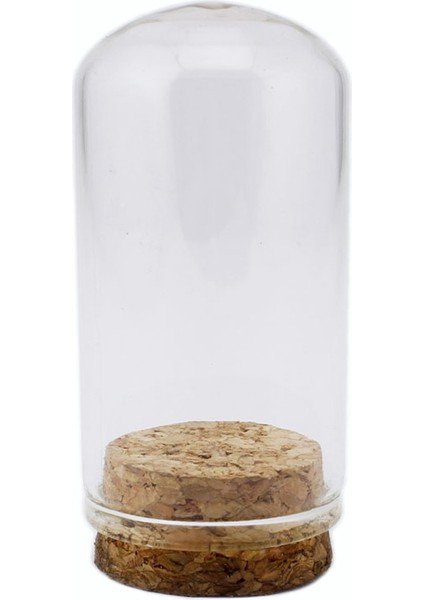 Cam Şişe Mantar Tıpalı Deney Tüpü Mini Fanus Model 25CC (25 Adet)