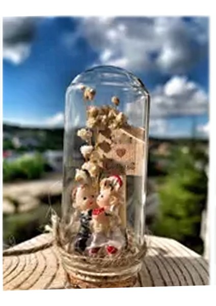 Cam Şişe Mantar Tıpalı Deney Tüpü Mini Fanus Model 25CC (25 Adet) fiyatları