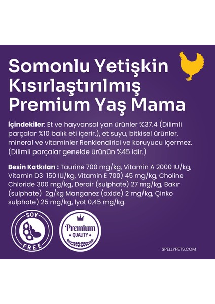 24 Adet x Spelly Kısırlaştırılmış Somonlu Yetişkin Kedi Maması Konserve (400GR) fiyatları