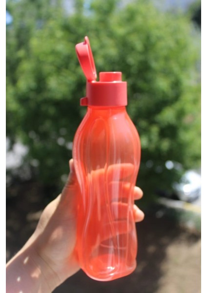 1 Lt Nar Çiçeği Renkli Eko Şişe, Pembe, Sağlıklı ve Şık Tasarım