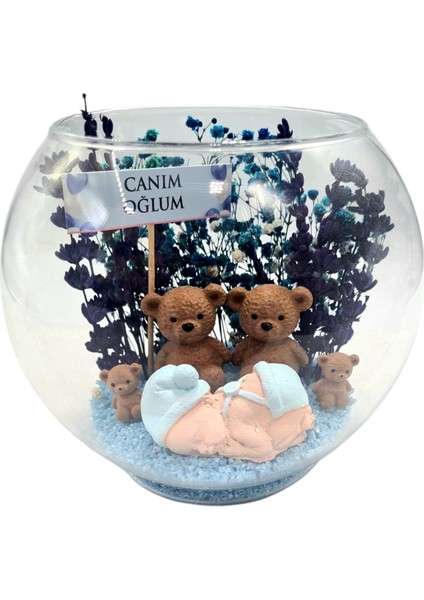 Teraryum Yeni Doğan Hediyelik Set Bebek Hediyelik Anne Bebek Hediyelik Erkek Bebek fiyatları