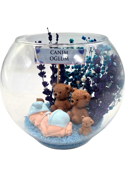 Teraryum Yeni Doğan Hediyelik Set Bebek Hediyelik Anne Bebek Hediyelik Erkek Bebek fırsatları