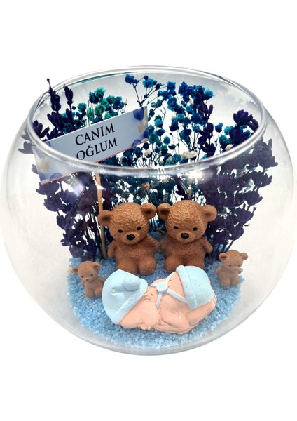 Teraryum Yeni Doğan Hediyelik Set Bebek Hediyelik Anne Bebek Hediyelik Erkek Bebek indirimleri