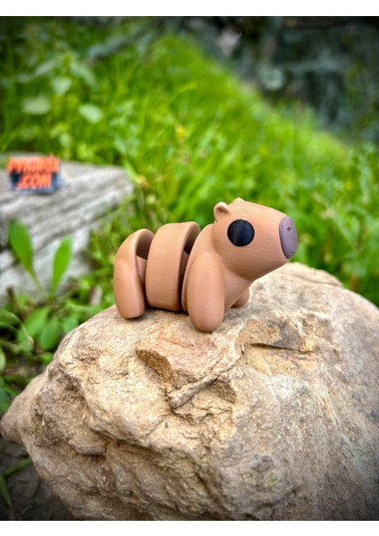 Kapibara Oyuncak -Tropikal Nehirlerinin Gızemli Dostu.🦫🐹 3D Hareketli Organik Model - Orta Boy