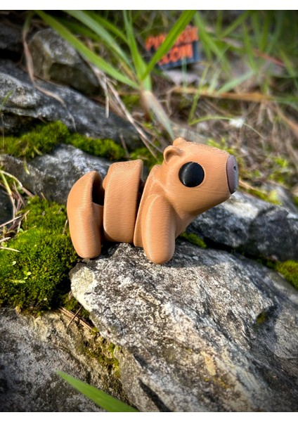 Kapibara Oyuncak -Tropikal Nehirlerinin Gızemli Dostu.🦫🐹 3D Hareketli Organik Model - Orta Boy modelleri