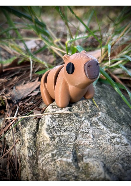 Kapibara Oyuncak -Tropikal Nehirlerinin Gızemli Dostu.🦫🐹 3D Hareketli Organik Model - Orta Boy fırsatları