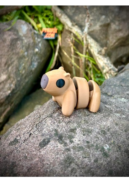 Kapibara Oyuncak -Tropikal Nehirlerinin Gızemli Dostu.🦫🐹 3D Hareketli Organik Model - Orta Boy