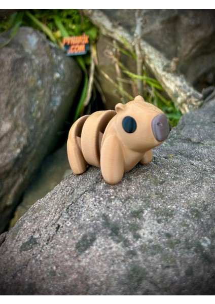 Kapibara Oyuncak -Tropikal Nehirlerinin Gızemli Dostu.🦫🐹 3D Hareketli Organik Model - Orta Boy