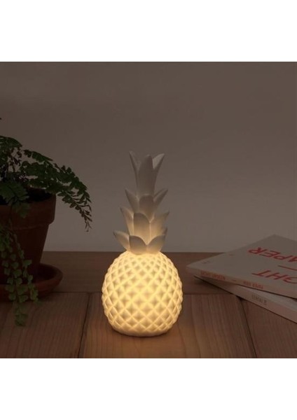 Ananas Şeklinde Desenli Büyük Boy Pilli Masa ve Gece Lambası modelleri