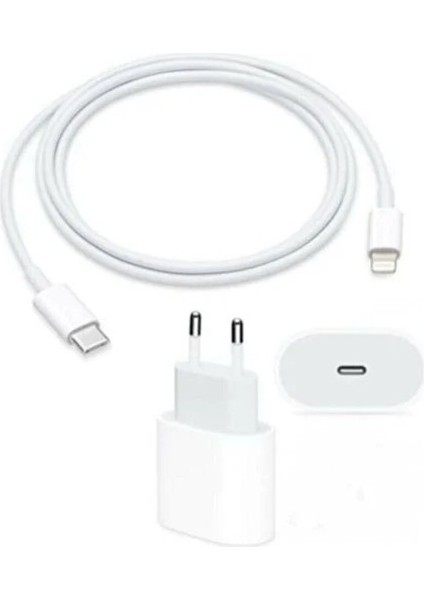 Auris Apple 20W Usb-C iPhone 11 12 13 Pro Max Yeni Nesil Hızlı Şarj Aleti Seti Kablo ve Adaptör