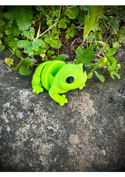 Oyuncak Kurbağa - Zıplamanın Neşesi! 🐸🌿 3D Hareketli Organik Model - Orta Boy fiyatları