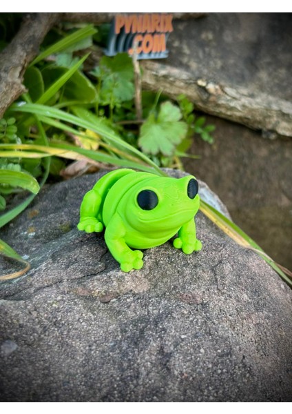 Oyuncak Kurbağa - Zıplamanın Neşesi! 🐸🌿 3D Hareketli Organik Model - Orta Boy modelleri