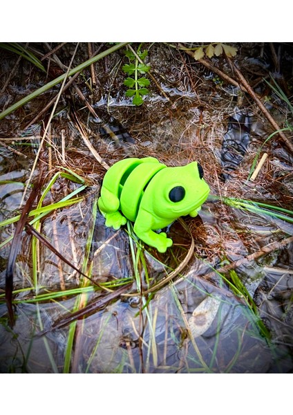Oyuncak Kurbağa - Zıplamanın Neşesi! 🐸🌿 3D Hareketli Organik Model - Orta Boy fırsatları