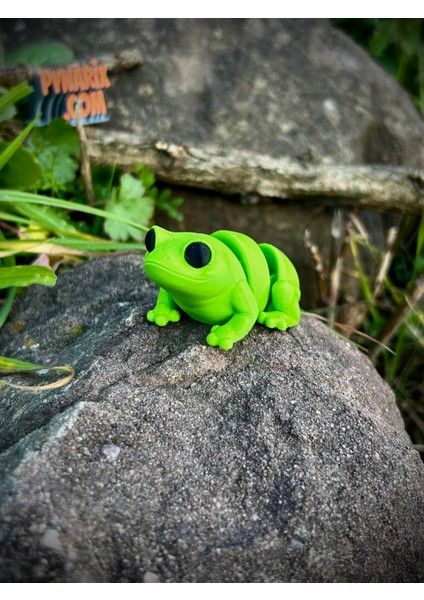 Oyuncak Kurbağa - Zıplamanın Neşesi! 🐸🌿 3D Hareketli Organik Model - Orta Boy indirimleri