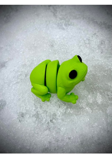 Oyuncak Kurbağa - Zıplamanın Neşesi! 🐸🌿 3D Hareketli Organik Model - Orta Boy
