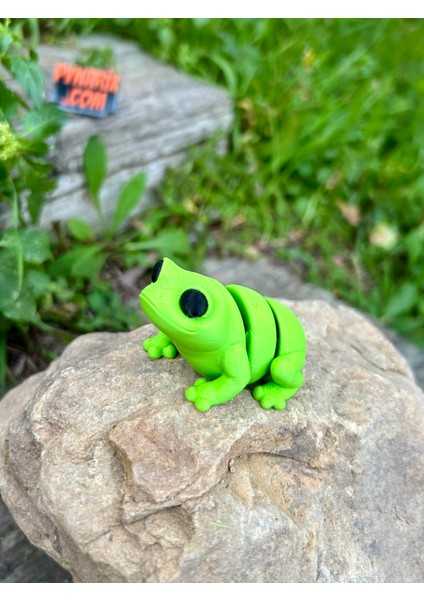 Oyuncak Kurbağa - Zıplamanın Neşesi! 🐸🌿 3D Hareketli Organik Model - Orta Boy