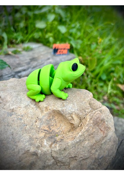 Oyuncak Kurbağa - Zıplamanın Neşesi! 🐸🌿 3D Hareketli Organik Model - Orta Boy