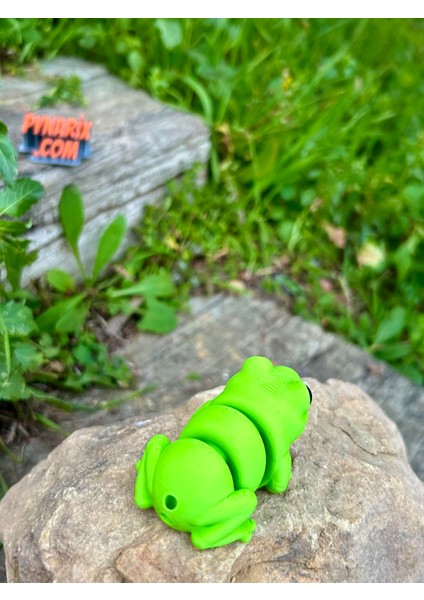 Oyuncak Kurbağa - Zıplamanın Neşesi! 🐸🌿 3D Hareketli Organik Model - Orta Boy