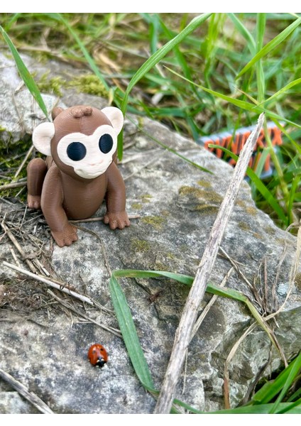 Maymun Oyuncak Zıpzıp – Muz Peşinde Durmayan Akrobat!🐵🌴🍌🐒 - 3D Hareketli Organik Model - Orta Boy