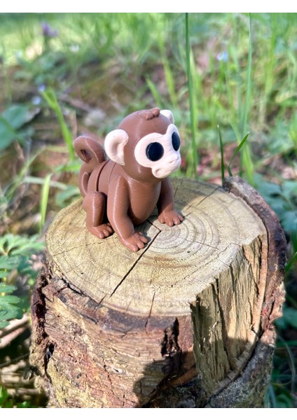 Maymun Oyuncak Zıpzıp – Muz Peşinde Durmayan Akrobat!🐵🌴🍌🐒 - 3D Hareketli Organik Model - Orta Boy