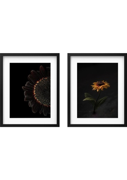 Poster, Çok Renkli, 40X50 Cm, 2 Adet, Ayçiçeği, Çerçeveli