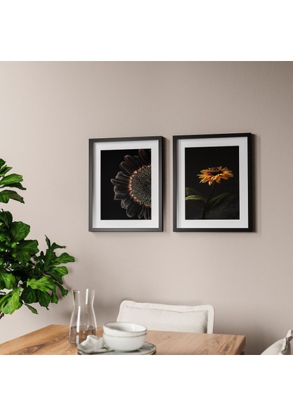 Poster, Çok Renkli, 40X50 Cm, 2 Adet, Ayçiçeği, Çerçeveli modelleri