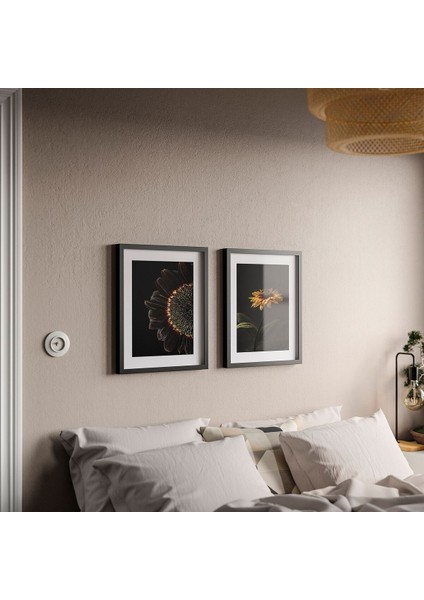 Poster, Çok Renkli, 40X50 Cm, 2 Adet, Ayçiçeği, Çerçeveli fırsatları