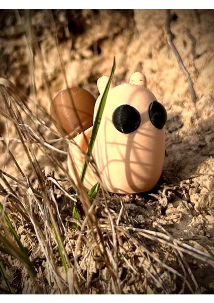 Salyangoz Oyuncak - Doğanın Sabırlı ve Gızemli Yolcusu! 🐌🌿3d Hareketli Organik Model - Orta Boy modelleri
