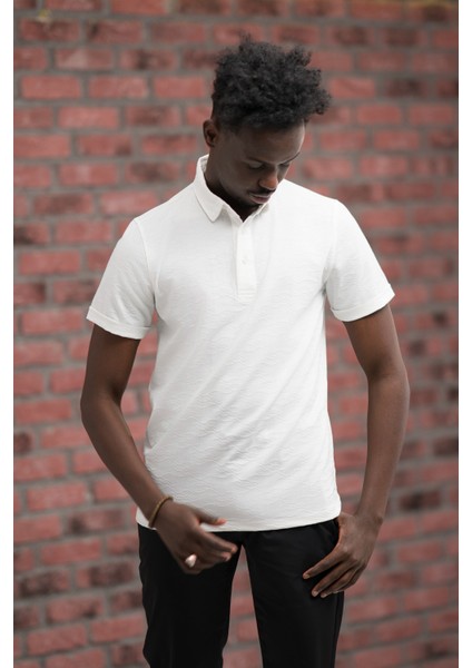Regular Fit Likralı Kendinden Desenli Polo Yaka T-Shirt fiyatları