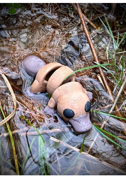 Ornitorenk Oyuncak - Doğanın En Ilginç ve Sevimli Kaşifi! 🦆🦫3d Hareketli Organik Model- Orta Boy