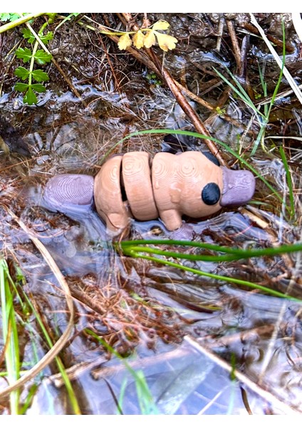 Ornitorenk Oyuncak - Doğanın En Ilginç ve Sevimli Kaşifi! 🦆🦫3d Hareketli Organik Model- Orta Boy fiyatları